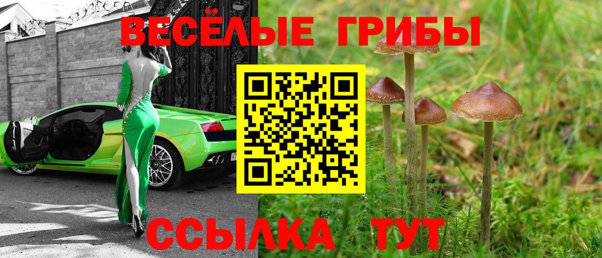 Галлюциногенные грибы ЛСД  Псилоцибиновые грибы GOLDEN TEACHER  Вход с VPN  Дальнереченск 